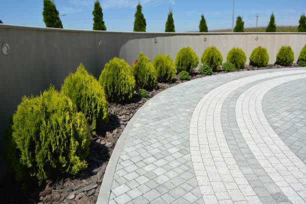 Best Professional Driveway Pavers  in Blanding, UT